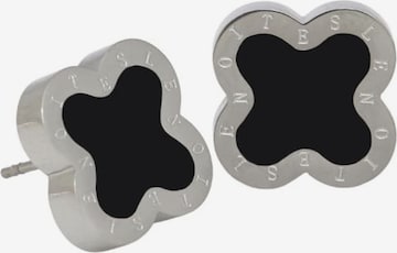 Lenoites Earrings in Silver: front