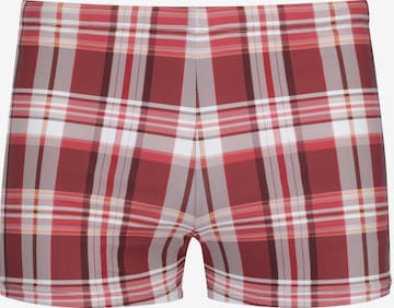 wavebreaker Swim Trunks in Red: front