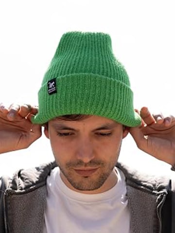 Surf Monkey Beanie in Green