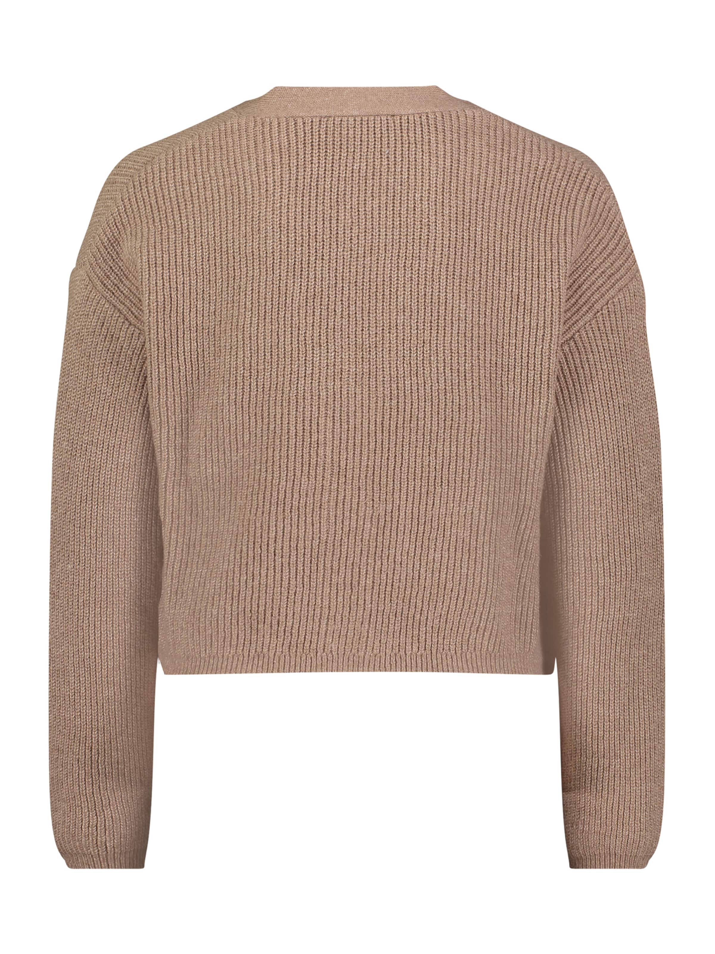 Cartoon Knit cardigan in Brown: front