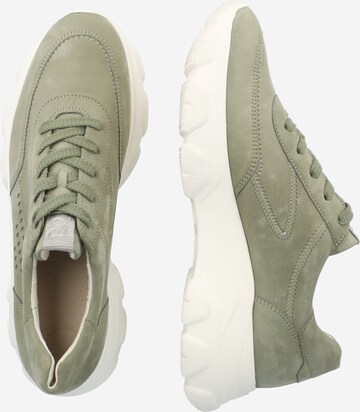 Paul Green Sneakers laag in Groen