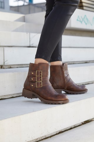 Bottines LASCANA en marron : devant