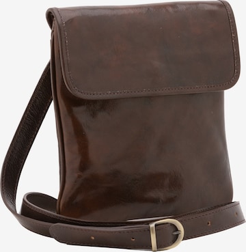 Sac à bandoulière Viola Castellani en marron : devant