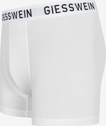 GIESSWEIN Boxer shorts in Grey