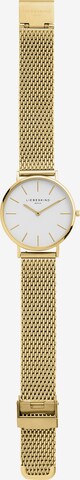 Liebeskind Berlin Analog Watch in Gold: front