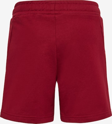 Regular Pantalon 'Offgrid' Hummel en rouge