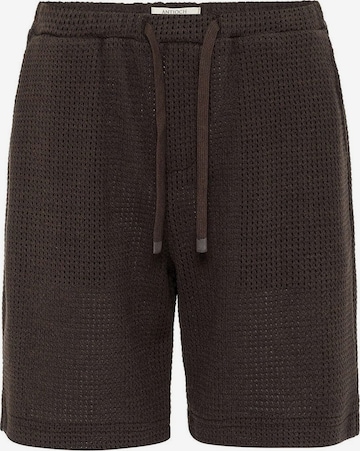 ruda Antioch Standartinis Kelnės: priekis