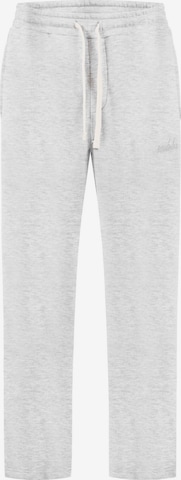 Pantalon Smilodox en gris : devant