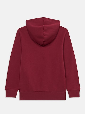 Champion Authentic Athletic Apparel Bluza w kolorze czerwony