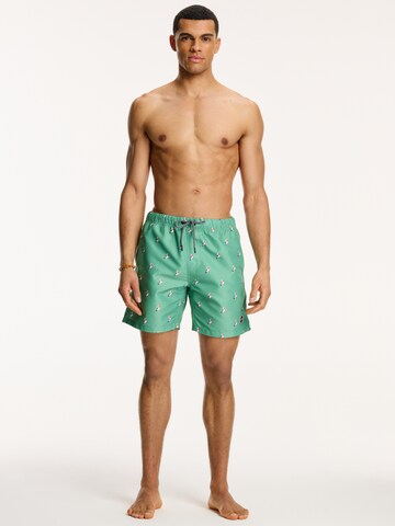 Shorts de bain 'PELICAN' Shiwi en vert
