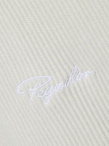 Pegador Shirt in Grau