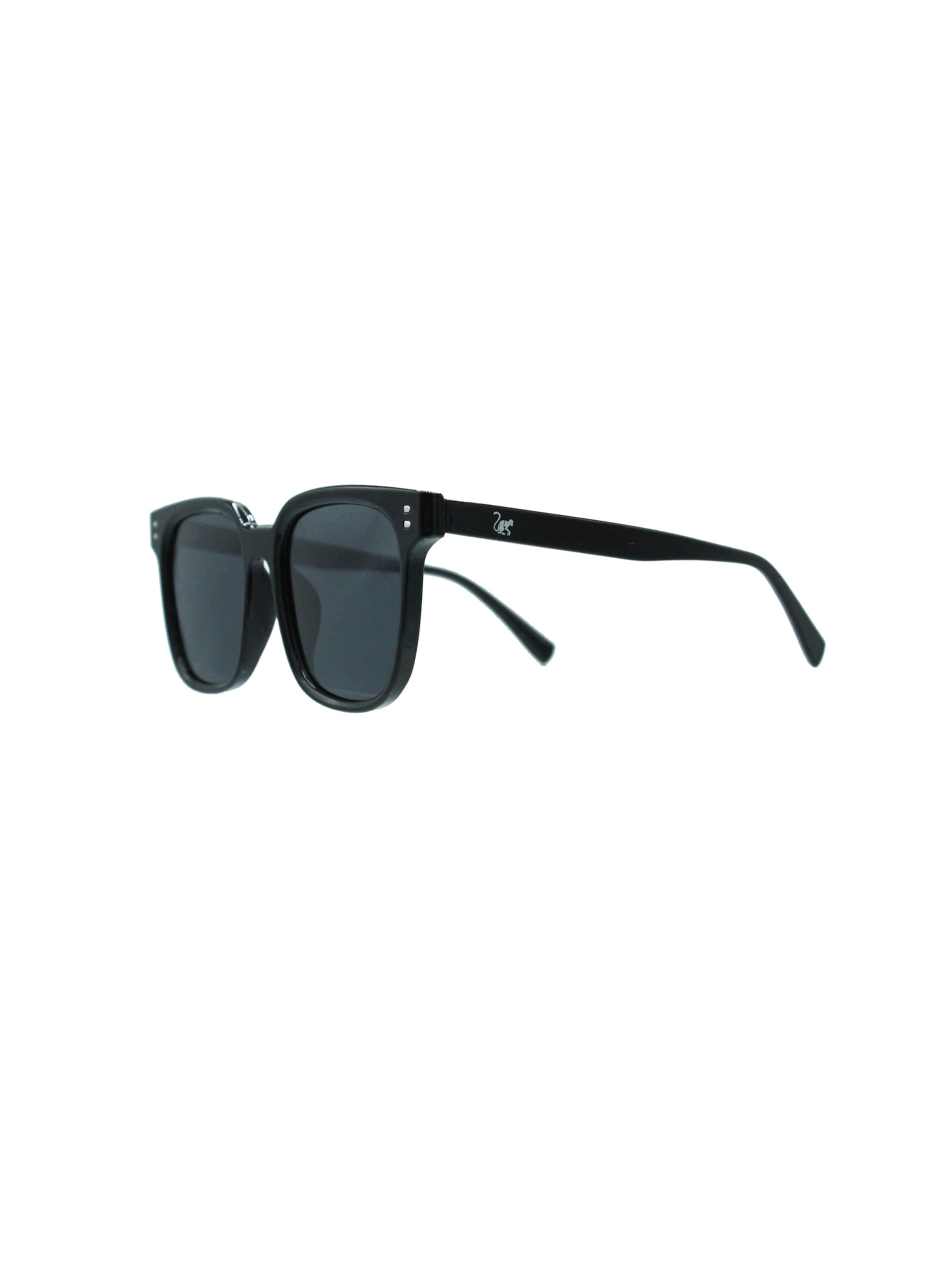 Surf Monkey Sunglasses in Black: front