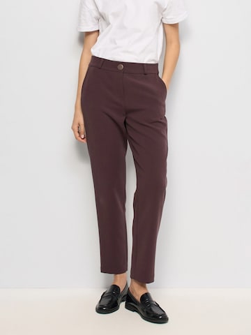 Salsa Jeans Chino in Bruin: voorkant