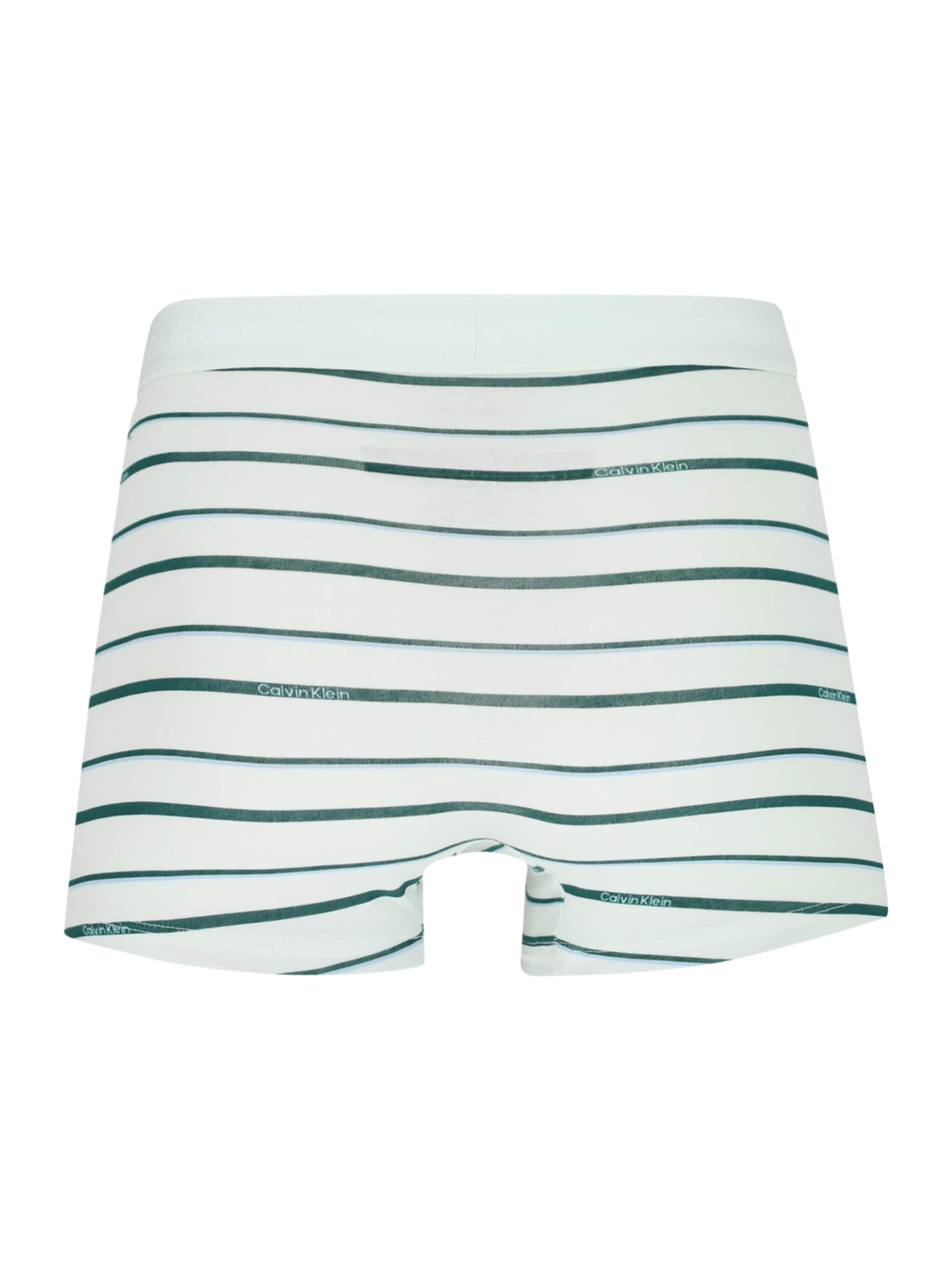 Calvin Klein Underwear Шорты Боксеры в Синий