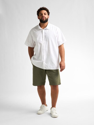 regular Pantaloni chino 'Waveview' di Petrol Industries in verde
