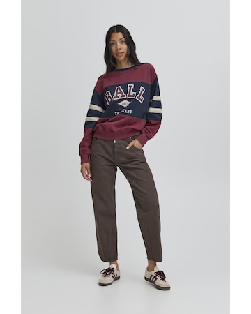 Sweat-shirt 'Tomasso' Ball en marron