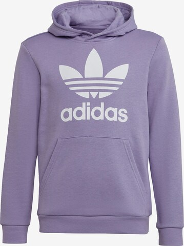 ADIDAS ORIGINALS Sweatshirt 'Trefoil' in Purple: front