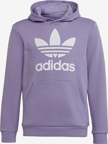 Sweat 'Trefoil' ADIDAS ORIGINALS en violet : devant