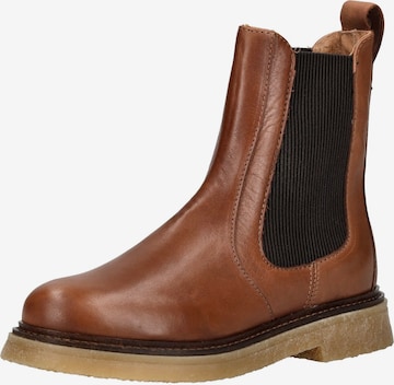 PAVEMENT Chelsea Boots in Brown: front