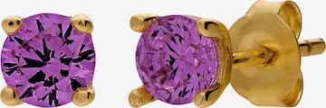 Boucles d'oreilles Lucardi en or : devant