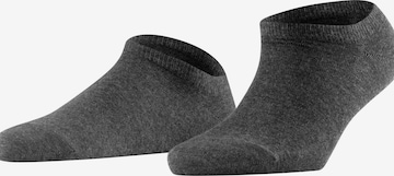FALKE Füßlinge 'Active Breeze' in Grau: Vorderseite