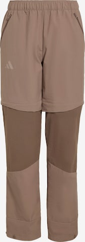 ADIDAS TERREX Outdoorhose 'CLIMA365' in Braun: Vorderseite