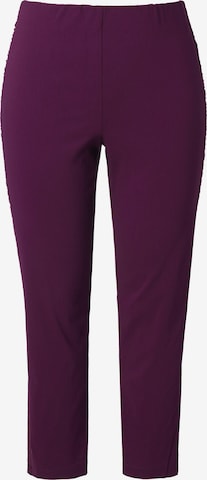 MIAMODA Slim fit Pants in Purple: front