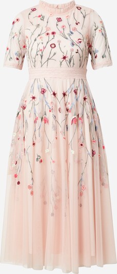 Frock and Frill Koktel haljina u miks boja / roza, Pregled proizvoda