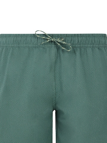 PROTEST Boardshorts 'PRTAgaat 25' in Grün