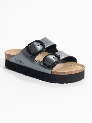 Bayton Mule 'JAPET' in Grey