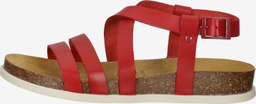 Kickers Pantolette in Rot