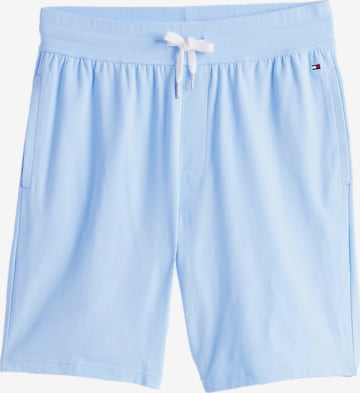 TOMMY HILFIGER Regular Trousers in Blue: front