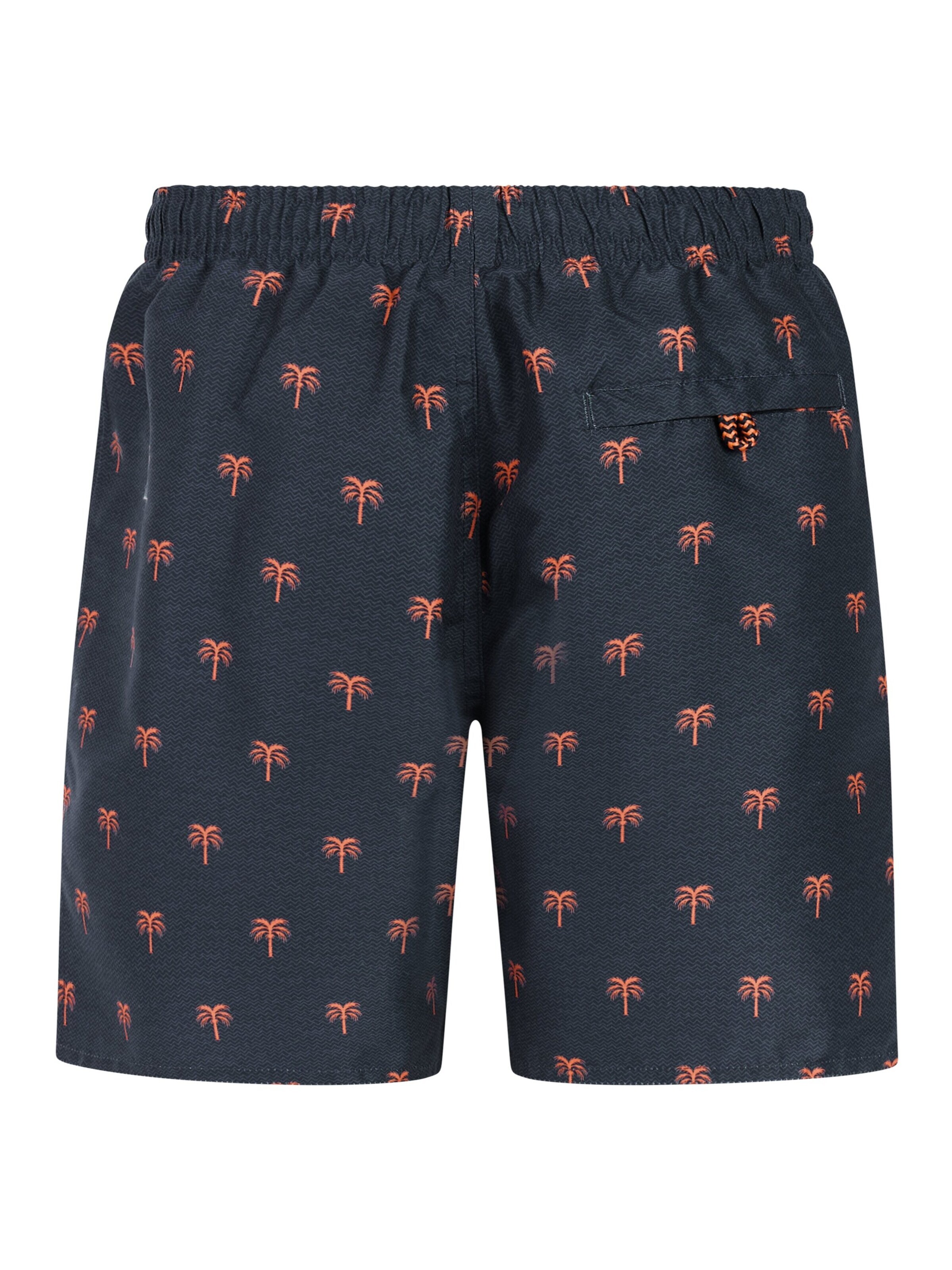 PROTEST Board Shorts 'PRTCalvin JR' in Blue