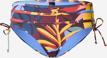 LingaDore Bikini Bottoms in Mixed colors: front