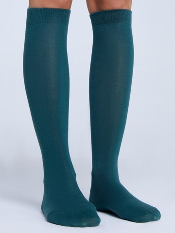 Albero Natur Knee High Socks in Green