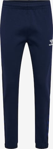 Hummel Sports trousers 'TRAVEL ' in Blue: front