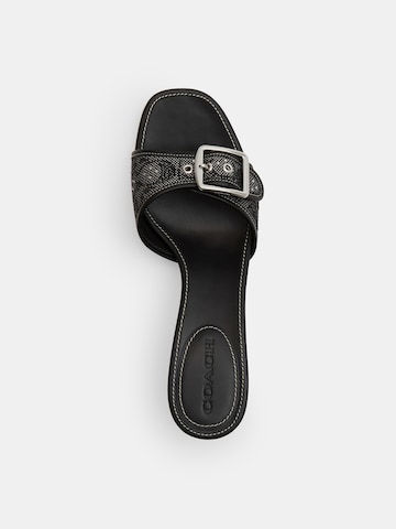 COACH Пантолеты 'Margot' в Черный