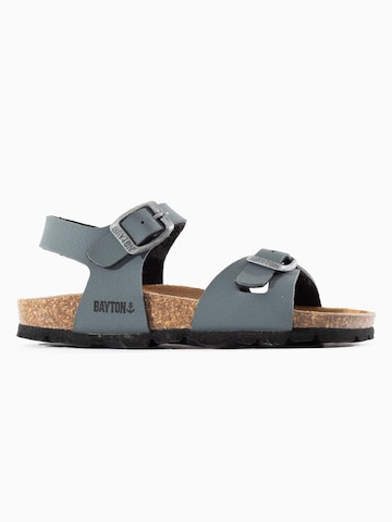 Bayton Slippers 'Pegase' in Grey