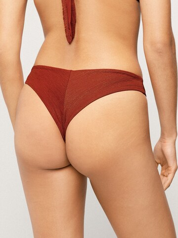 Tezenis Bikini Bottoms 'Paradise Bay' in Brown
