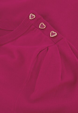 Fabienne Chapot Trui in Roze
