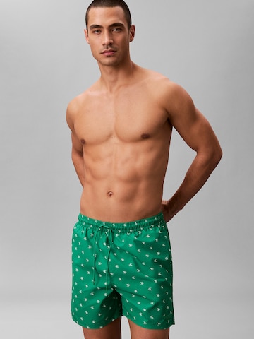 Regular Shorts de bain Calvin Klein Swimwear en vert