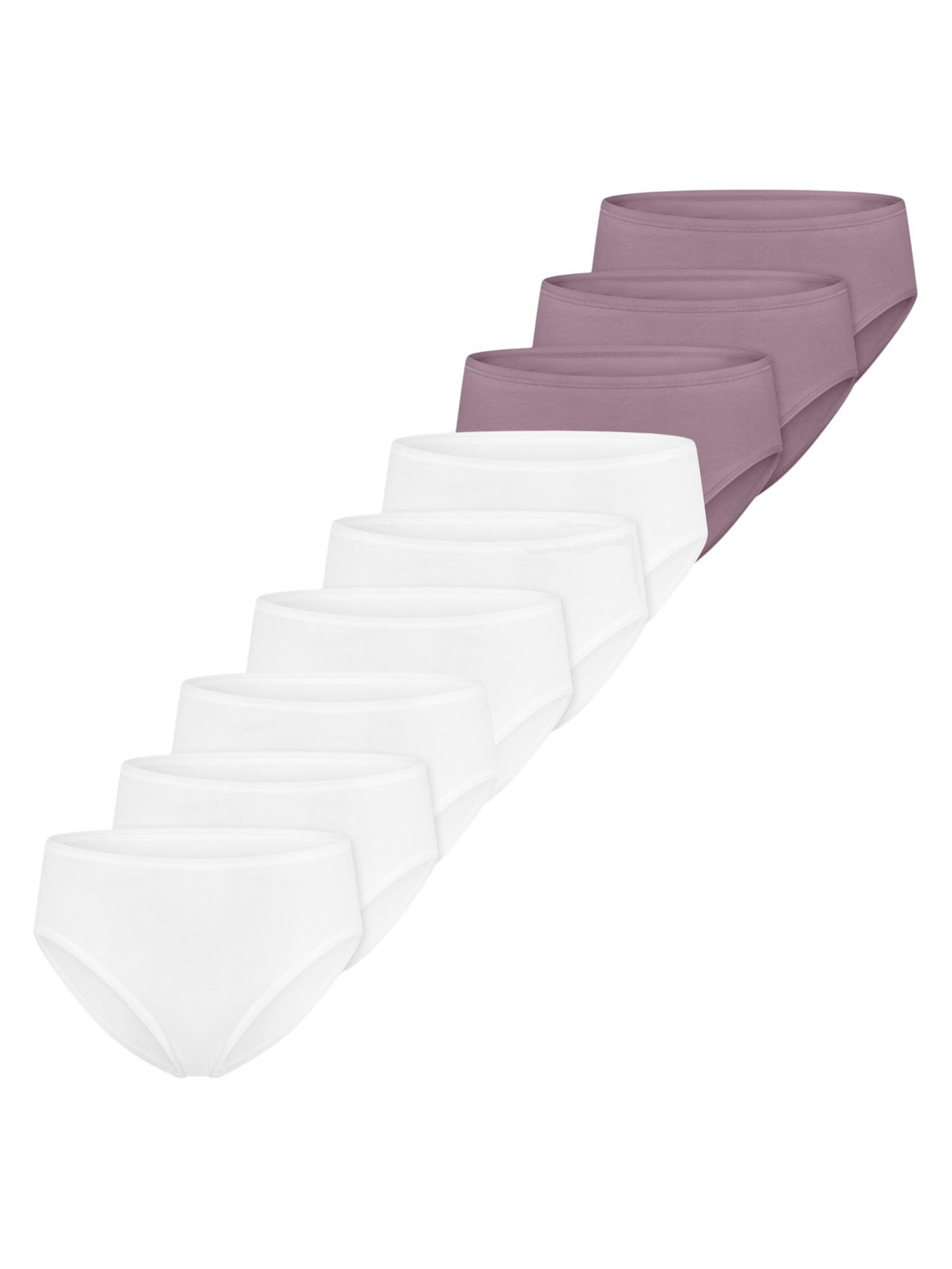 SCHIESSER Panty 'Essentials Cotton' in Purple: front