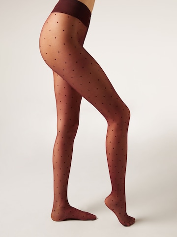 CALZEDONIA Strumpfhose in Schwarz