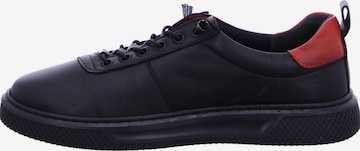 ANDREA CONTI Sneaker low in Schwarz