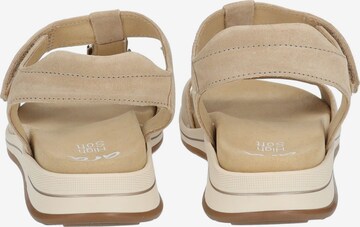 ARA Sandals in Beige