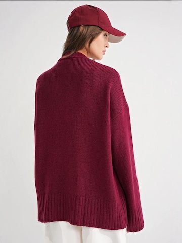 Giacchetta extra large di MixRay in rosso