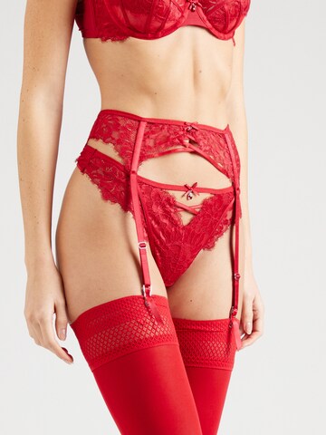 Hunkemöller Strumpfhalter 'Charlotta' in Rot: Vorderseite