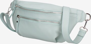 Roberta Rossi Fanny Pack in Blue: front