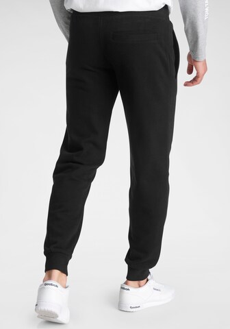 KangaROOS Tapered Pants in Black