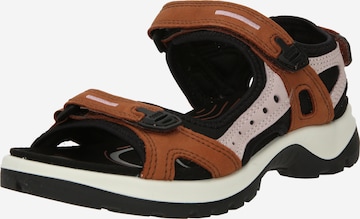 ECCO Hiking Sandals 'Offroad' in Brown: front